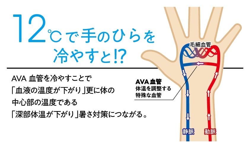 夏は 手のひら を冷やして暑さ対策を アスリートも着用 ランニングは コアクーラー が効果的