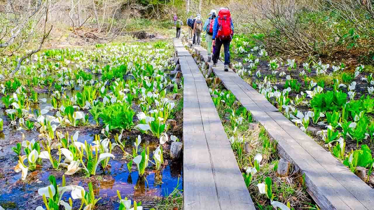 全国の 梅雨に訪れたい 絶景5選 防水 軽量のレインシューズを履いて雨の日のお出かけを快適に過ごそう 全国の 梅雨に訪れたい 絶景5選 防水 軽量のレインシューズを履いて雨の日のお出かけを快適に過ごそう