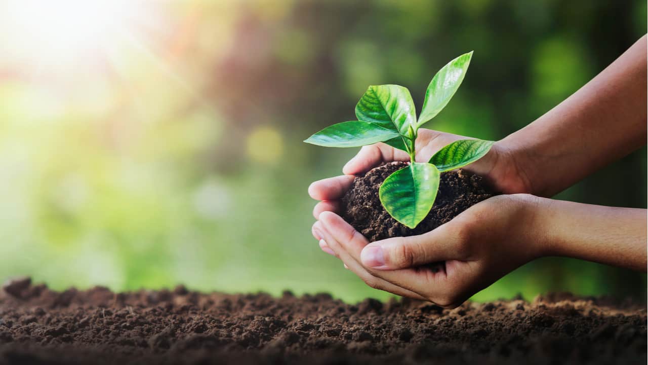 サステナブルとは？意味や取り組みについて紹介