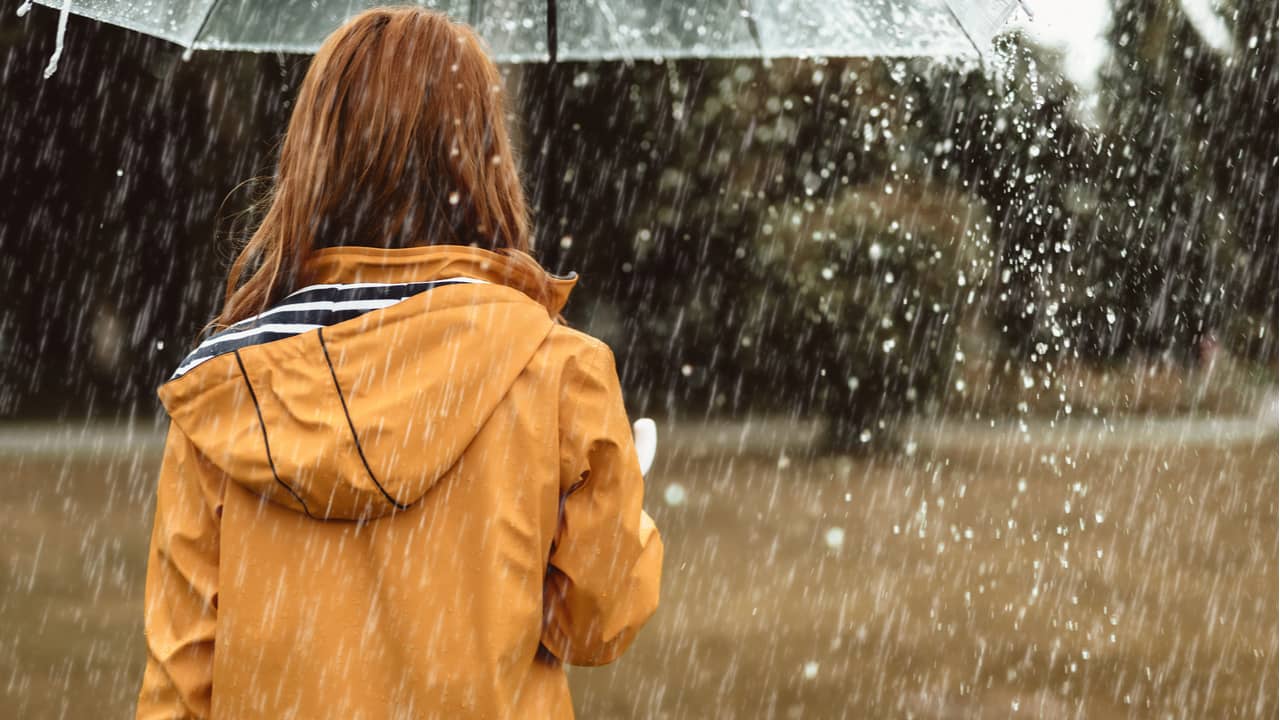 レインコートの選び方や機能性 清潔に使うためのお手入れ方法を解説