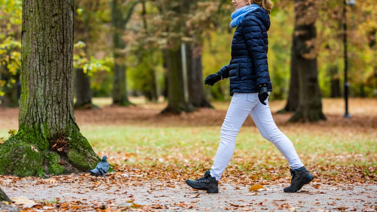 散歩にはどんな効果がある？適した時間帯や楽しく継続するコツを紹介