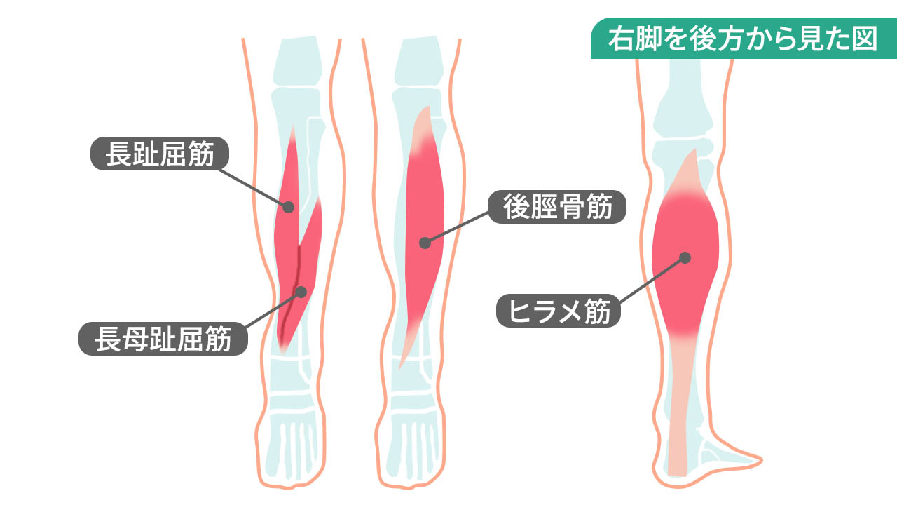 ランニングにケガはつきもの 足の裏 かかと 膝の痛みやシンスプリントの原因と予防法