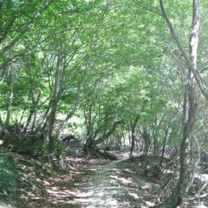 【登山の基礎知識】山登りでは挨拶するのが常識?初心者が登山を安心・安全に楽しむための持ち物やマナーを解説