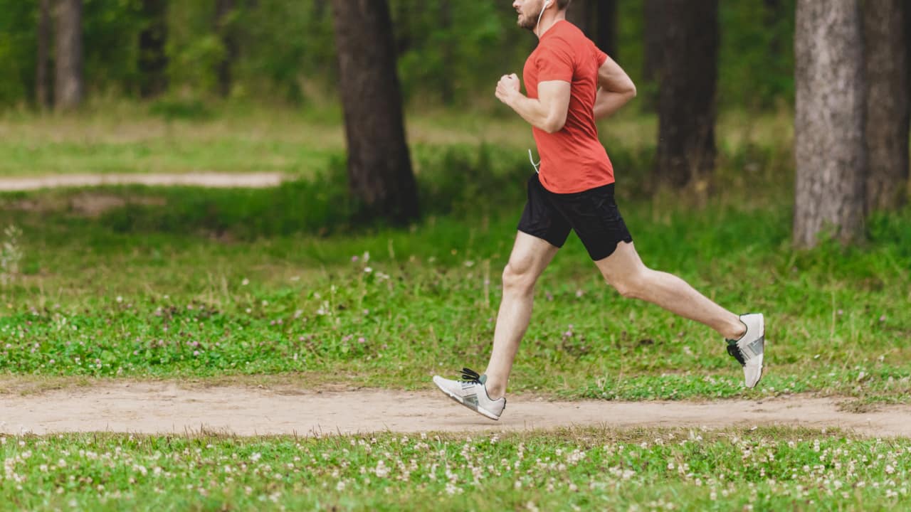 有酸素運動と無酸素運動（筋トレ）の違いを解説！効果的な順番はどっち ...